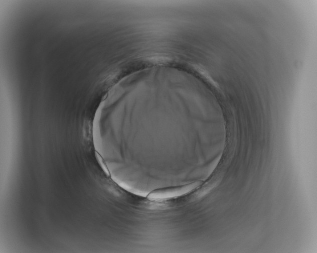 X0000111120528200908111021