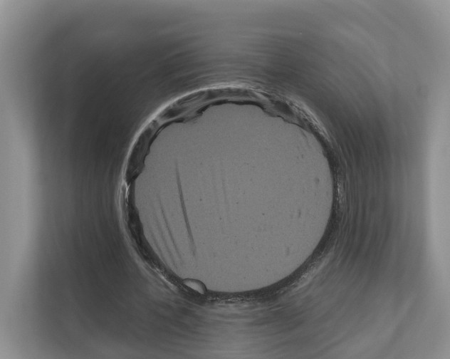 X0000111120532200908111021