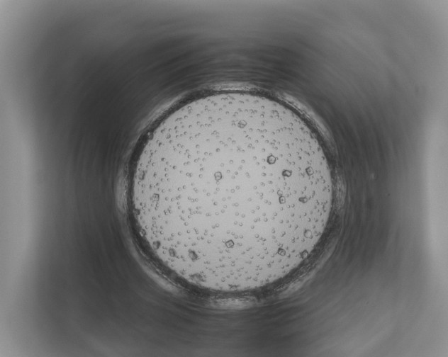 X0000111120533200908111021