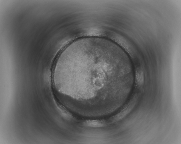 X0000111120534200908111021