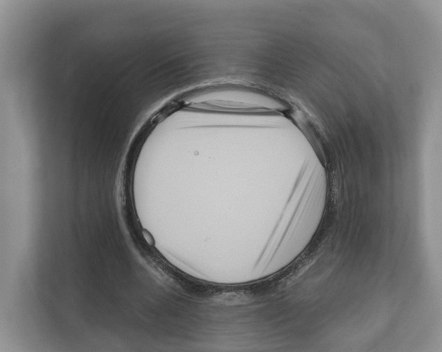 X0000111120536200908111021