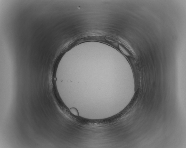 X0000111120538200908111021