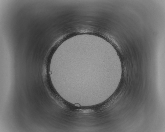 X0000111120539200908111021