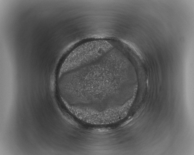 X0000111120540200908111021