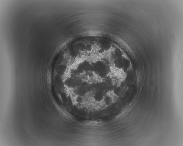 X0000111120542200908111021