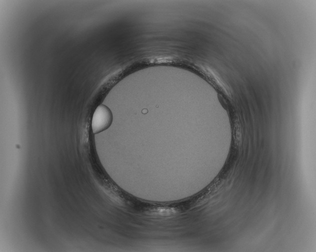 X0000111120543200908111021