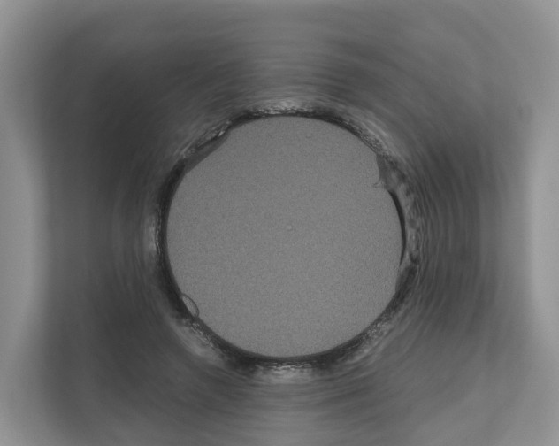 X0000111120546200908111021