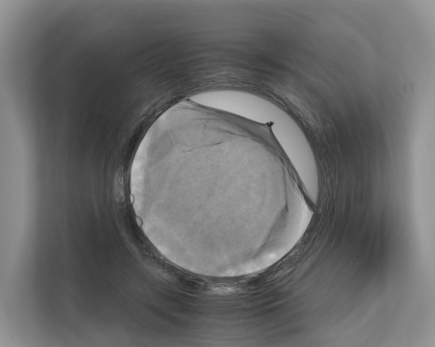 X0000111120547200908111021