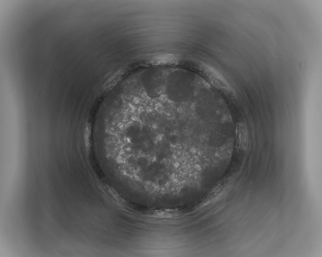 X0000111120550200908111021