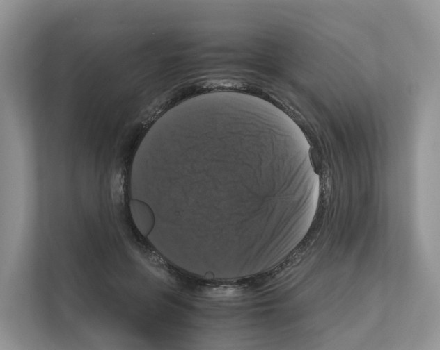 X0000111120551200908111021