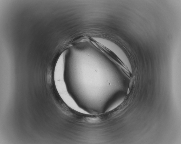 X0000111120552200908111021