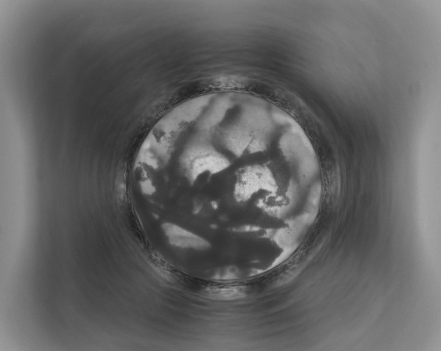 X0000111120553200908111021