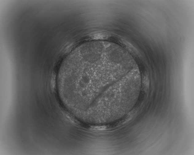 X0000111120554200908111021