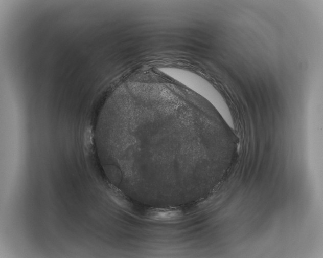 X0000111120555200908111021