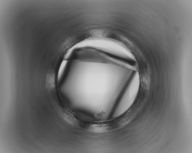 X0000111120556200908111021