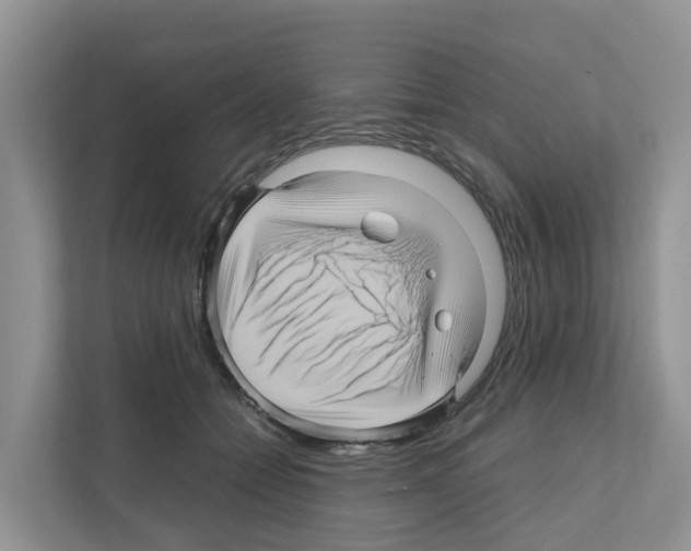X0000111120558200908111021