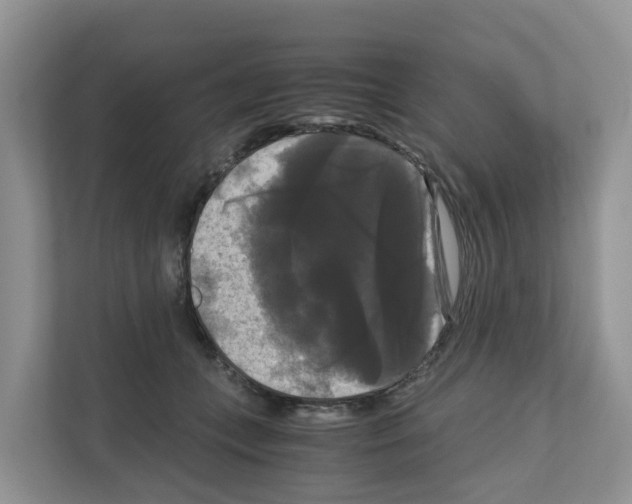 X0000111120559200908111021