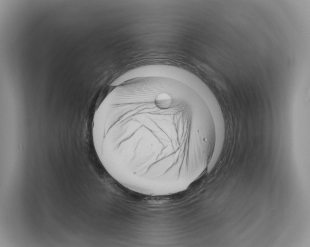 X0000111120560200908111021