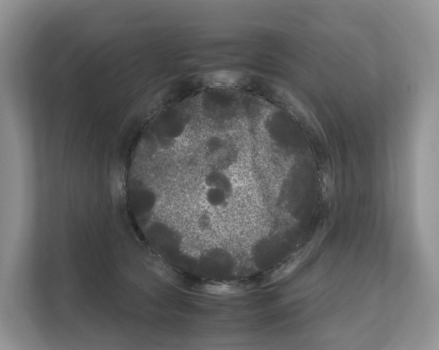 X0000111120561200908111021