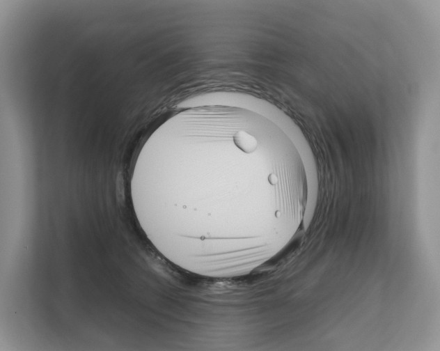 X0000111120562200908111021