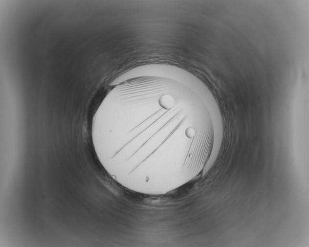 X0000111120564200908111021