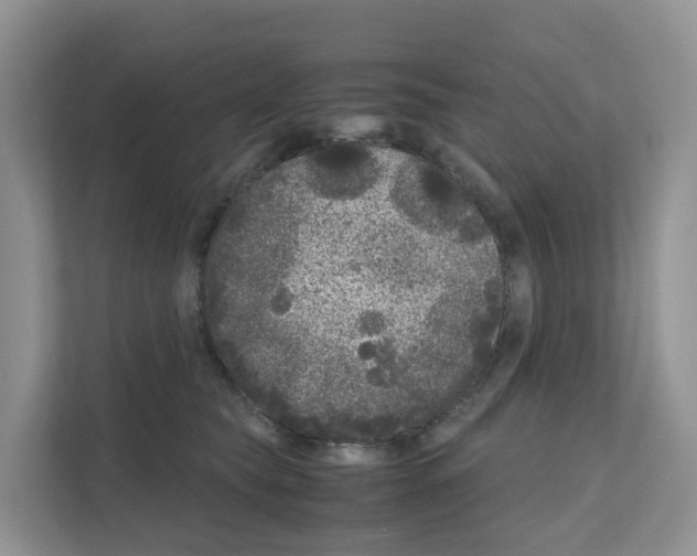 X0000111120565200908111021