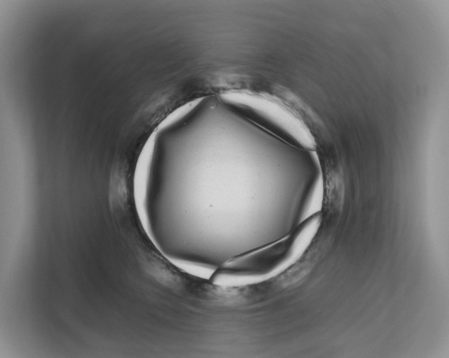 X0000111120566200908111021
