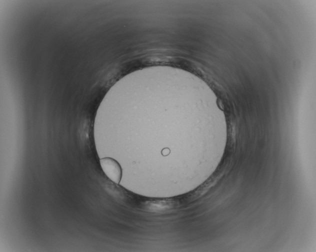 X0000111120567200908111021
