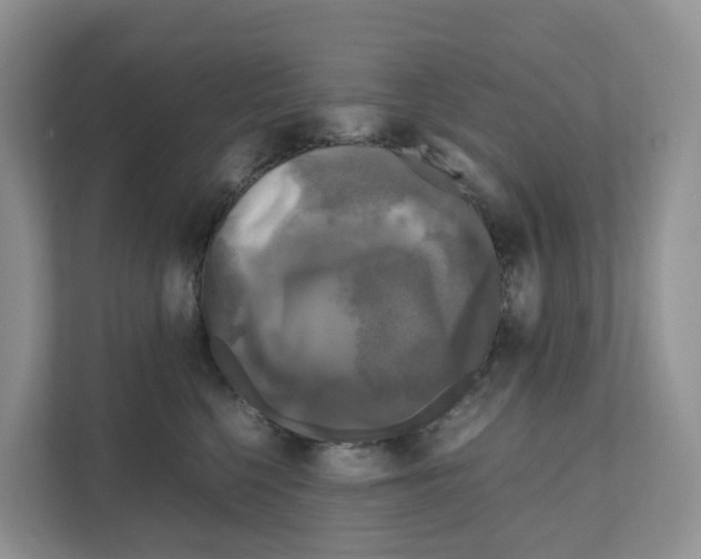 X0000111120568200908111021