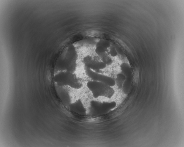 X0000111120569200908111021
