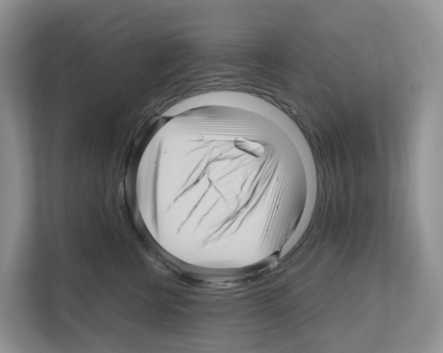 X0000111120570200908111021