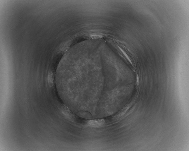 X0000111120571200908111021
