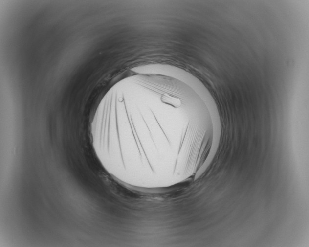 X0000111120572200908111021