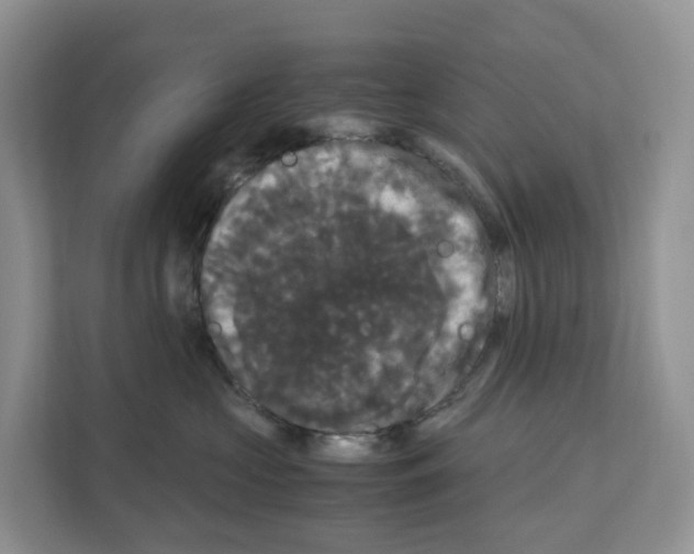 X0000111120573200908111021