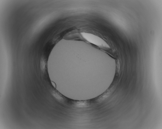 X0000111120574200908111021