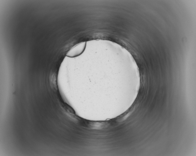 X0000111120575200908111021
