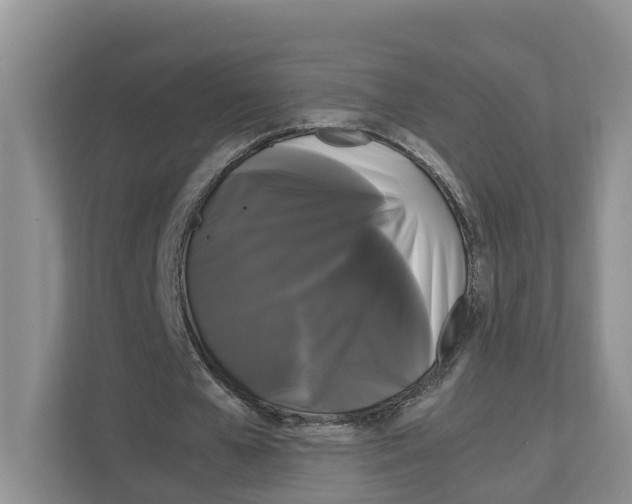 X0000111120577200908111021