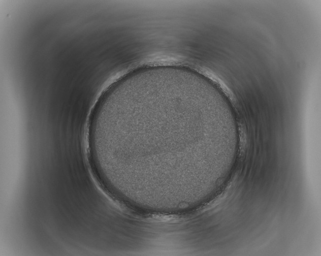 X0000111120582200908111021