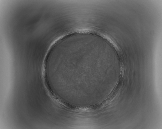 X0000111120583200908111021