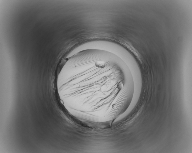 X0000111120585200908111021