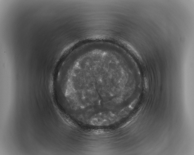 X0000111120588200908111020