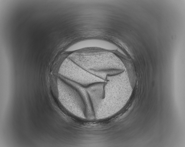 X0000111120589200908111020