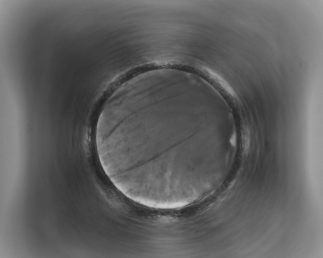 X0000111120592200908111020