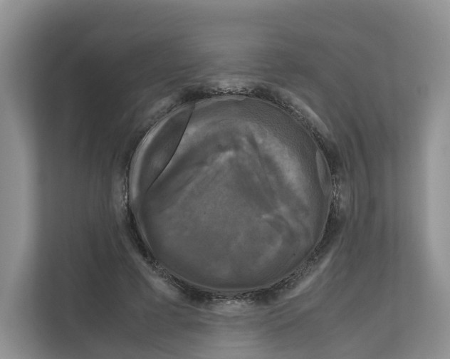 X0000111120593200908111020