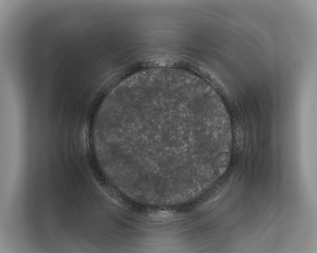 X0000111120594200908111020