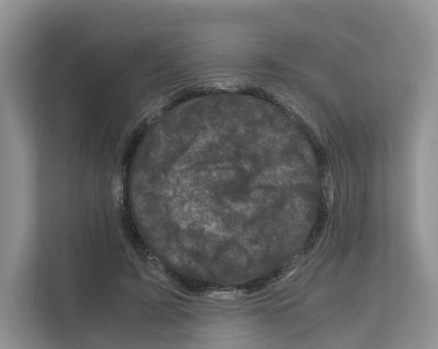 X0000111120595200908111020