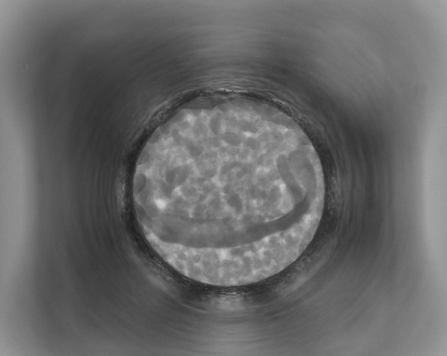 X0000111120600200908111020