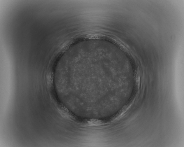 X0000111120603200908111020