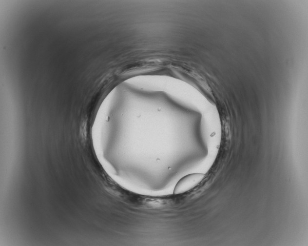 X0000111120611200908111020