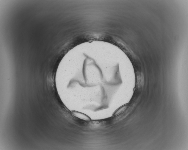 X0000111120613200908111020